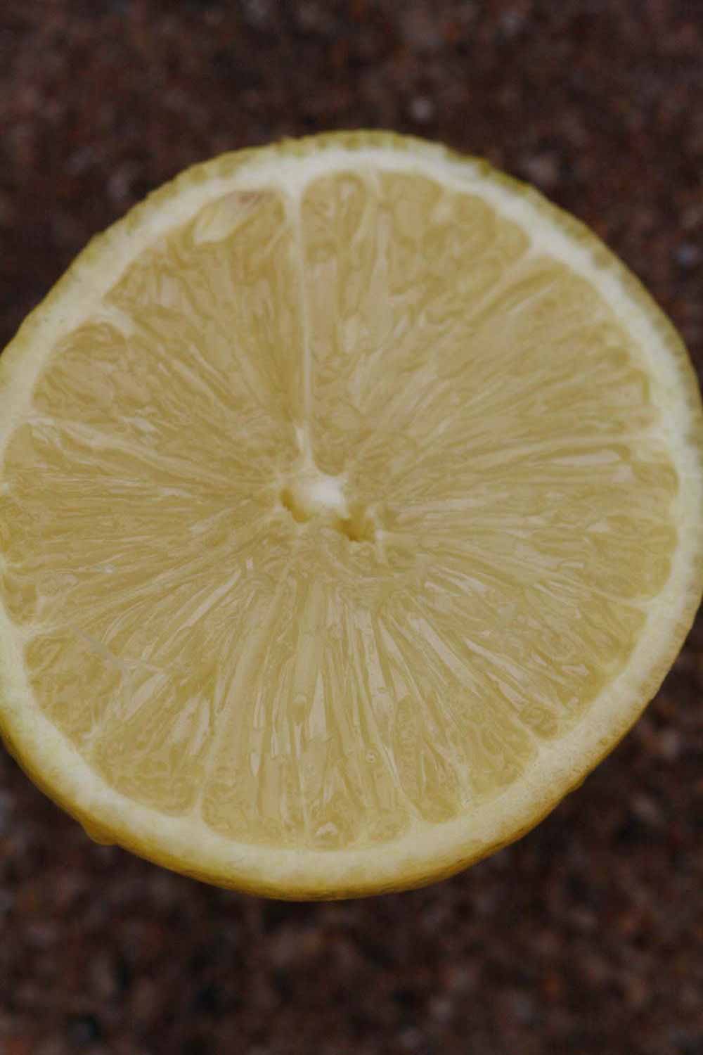            Fruit cross-section (Millsweet, Riverside, CA)   